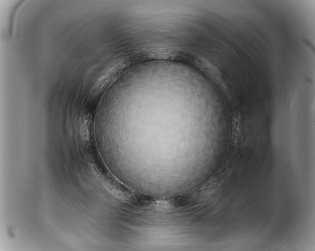 X0000102260114200808011414