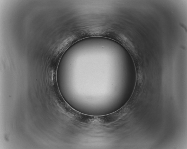 X0000102260115200808011414