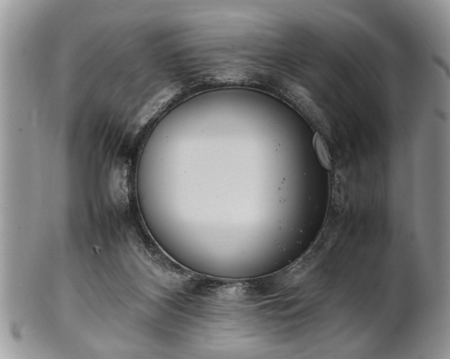 X0000102260116200808011414