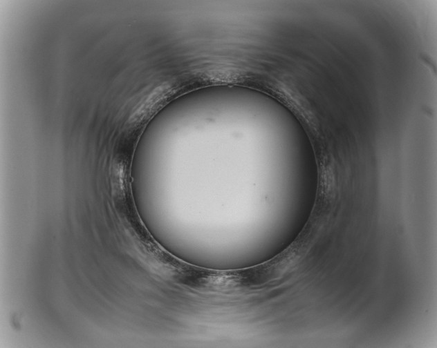 X0000102260117200808011414