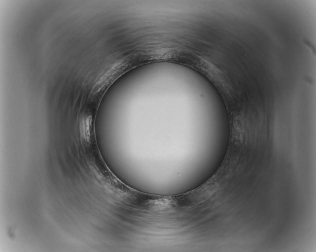 X0000102260118200808011414