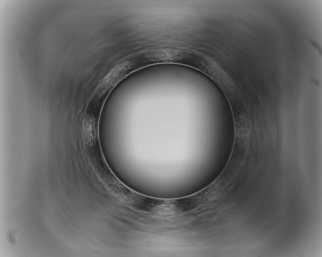 X0000102260119200808011413