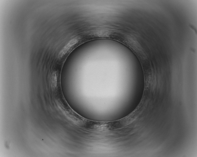 X0000102260120200808011413