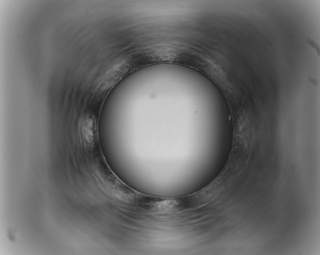 X0000102260122200808011413