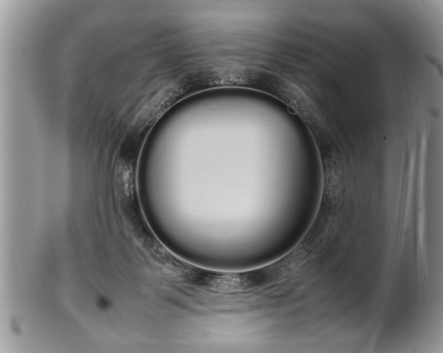 X0000102260123200808011413