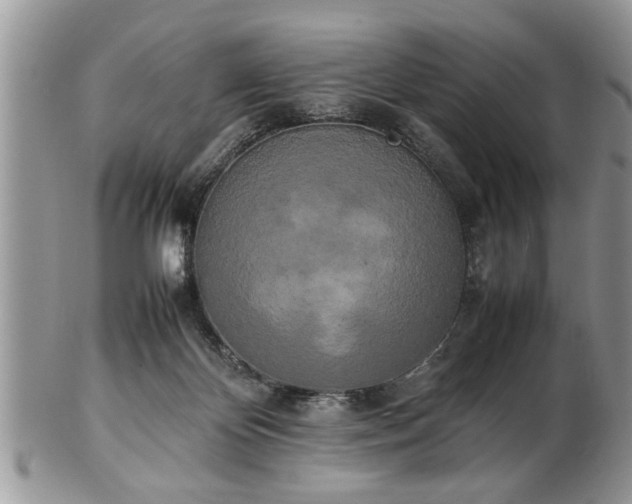 X0000102260124200808011413