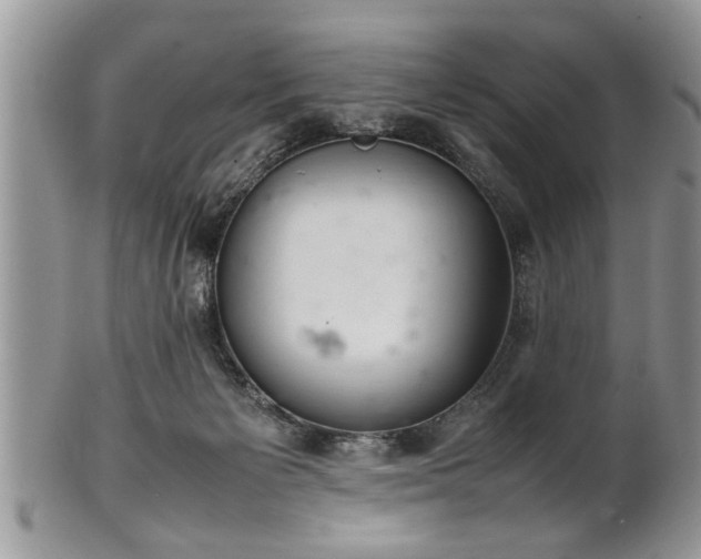 X0000102260125200808011413