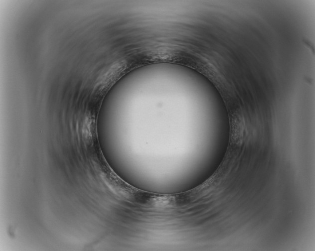 X0000102260126200808011413