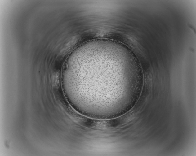 X0000102260127200808011413