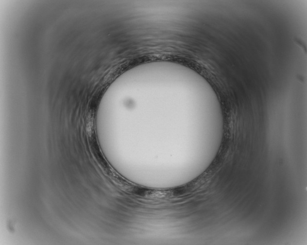 X0000102260129200808011413