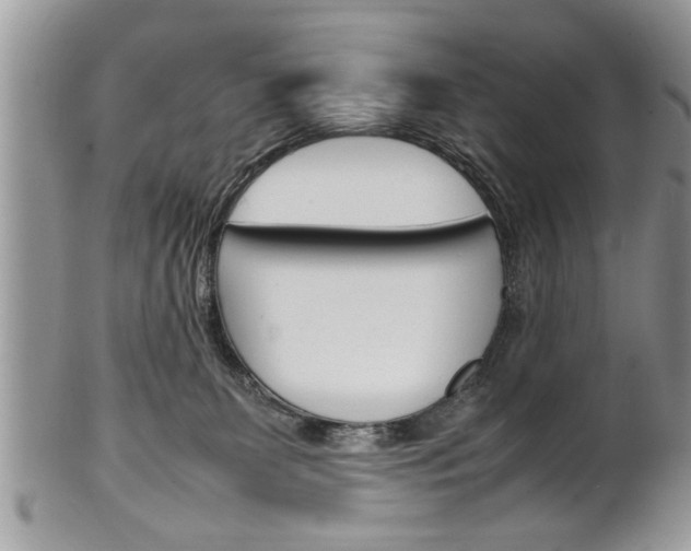 X0000102260131200808011413