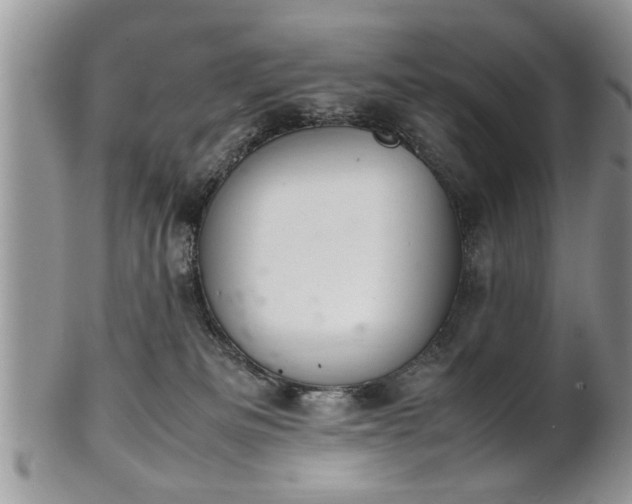 X0000102260133200808011413