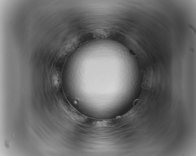 X0000102260134200808011413