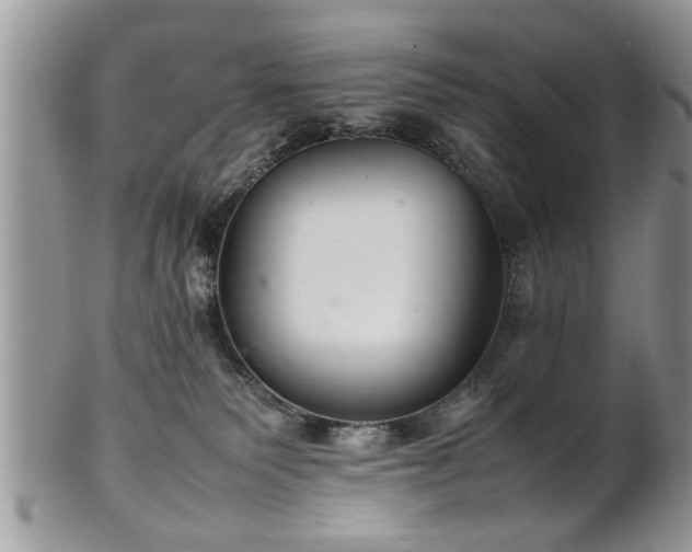 X0000102260135200808011413