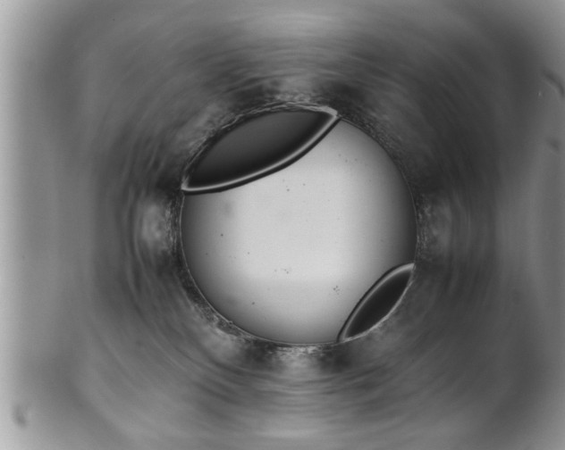 X0000102260136200808011413