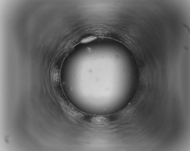 X0000102260137200808011413