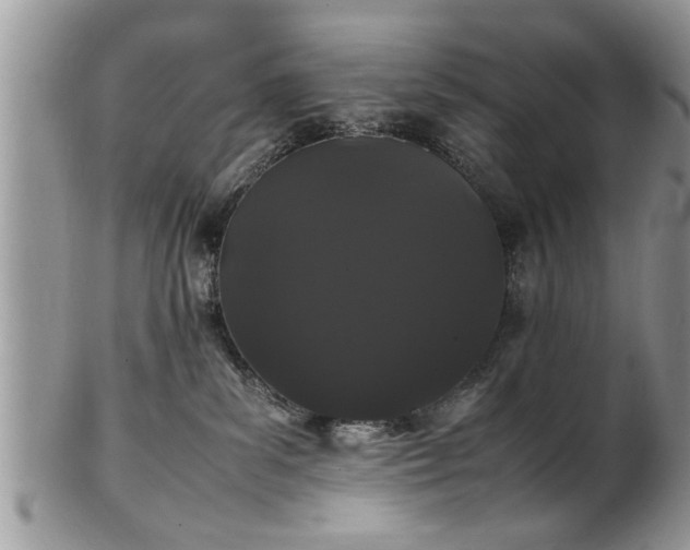 X0000102260139200808011413