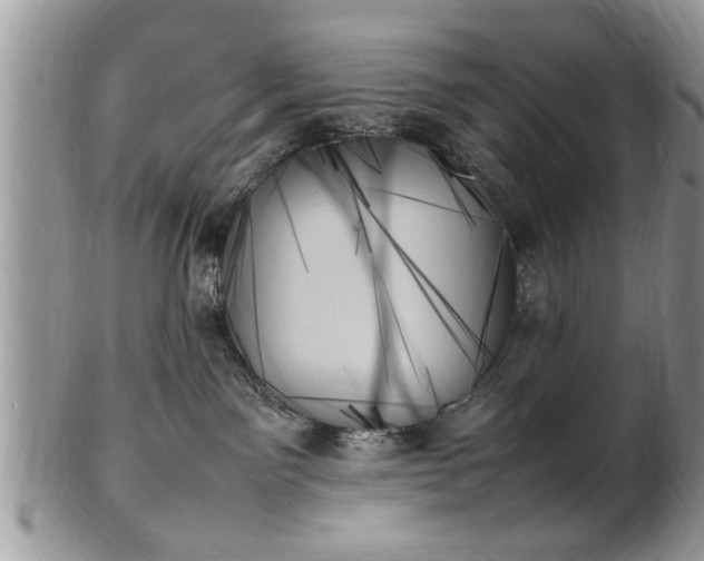 X0000102260141200808011413