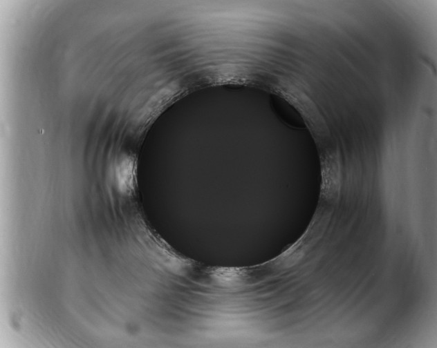 X0000102260142200808011413