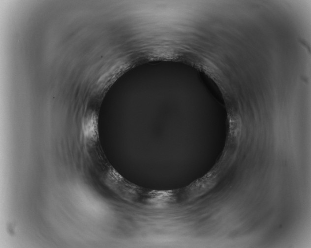 X0000102260143200808011413