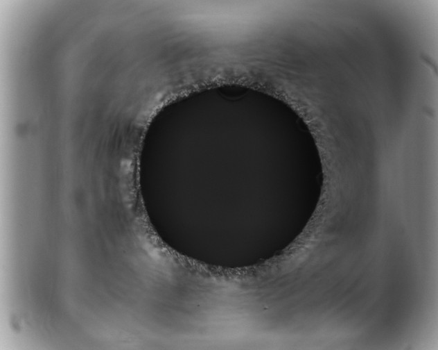 X0000102260144200808011413