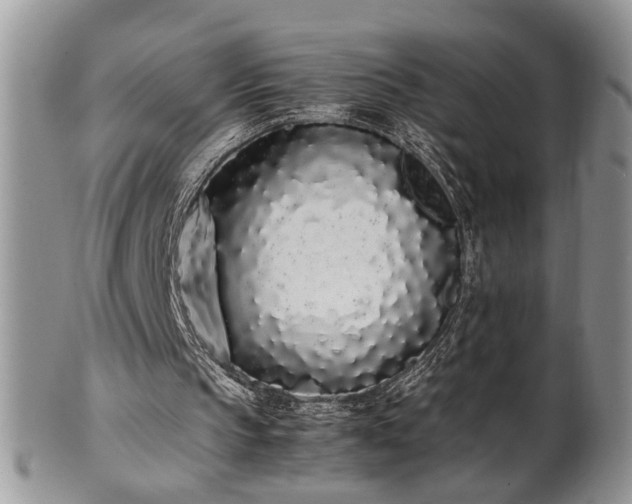 X0000102260145200808011412