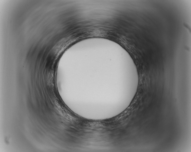 X0000102260146200808011413