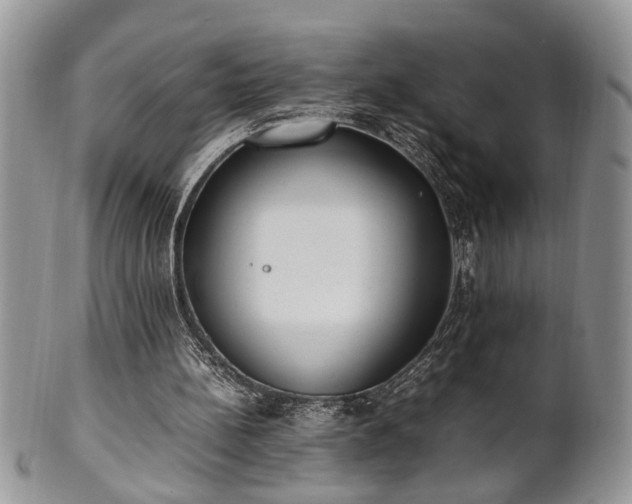 X0000102260148200808011413