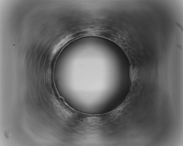 X0000102260150200808011413