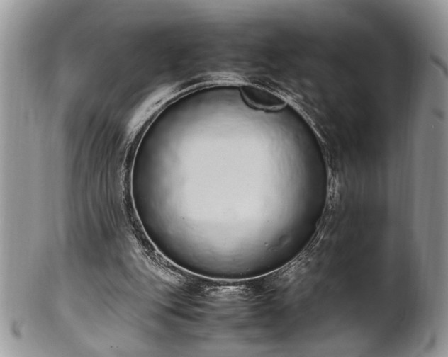 X0000102260151200808011413