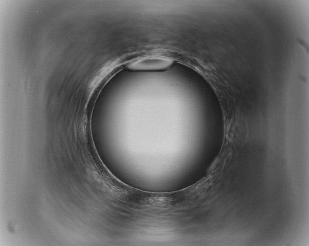 X0000102260152200808011413