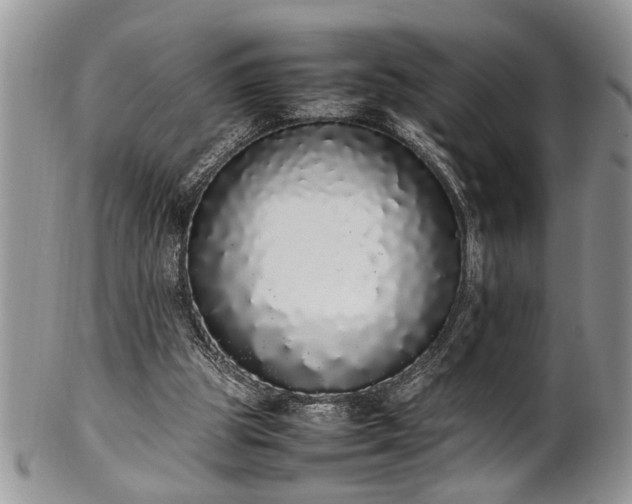 X0000102260153200808011413