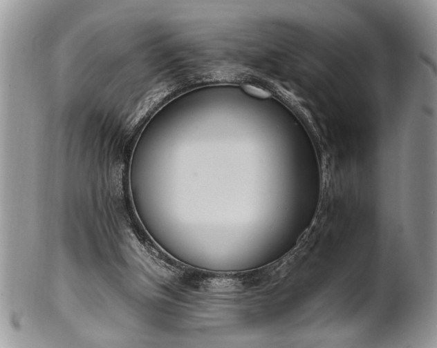 X0000102260154200808011413