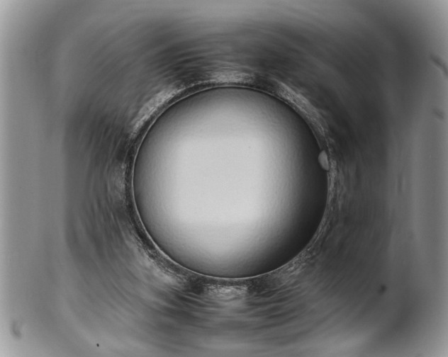 X0000102260155200808011413