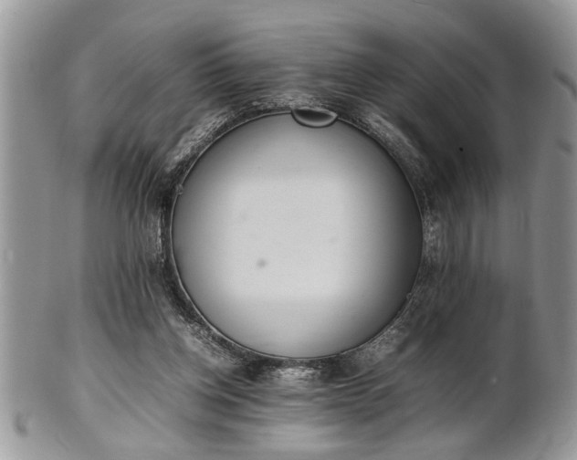 X0000102260158200808011413