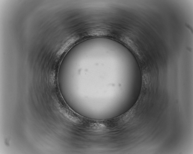 X0000102260159200808011413