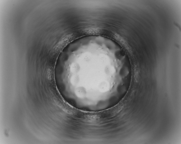 X0000102260161200808011413