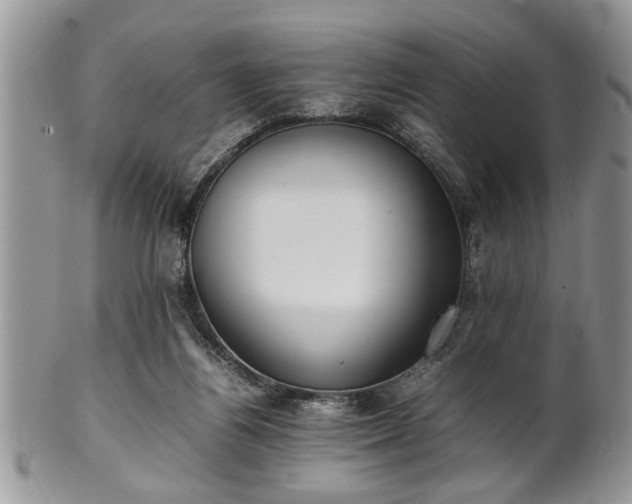 X0000102260164200808011413