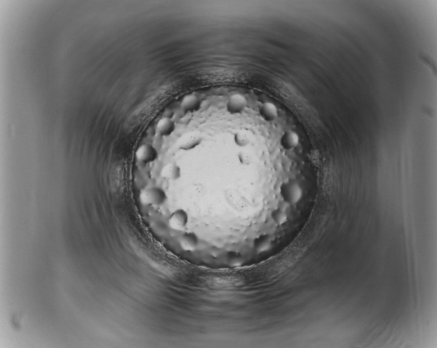 X0000102260165200808011413