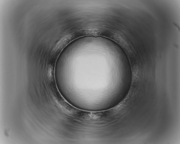 X0000102260166200808011413