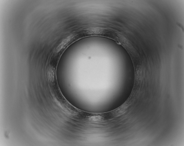 X0000102260168200808011413