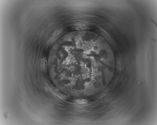 X0000102260169200808011413