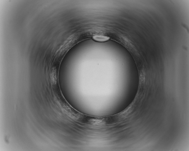 X0000102260170200808011413