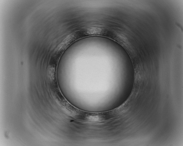 X0000102260171200808011413