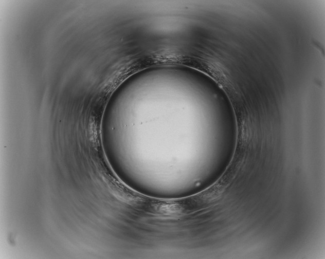 X0000102260173200808011413