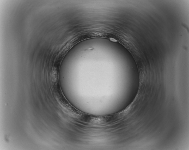 X0000102260174200808011413