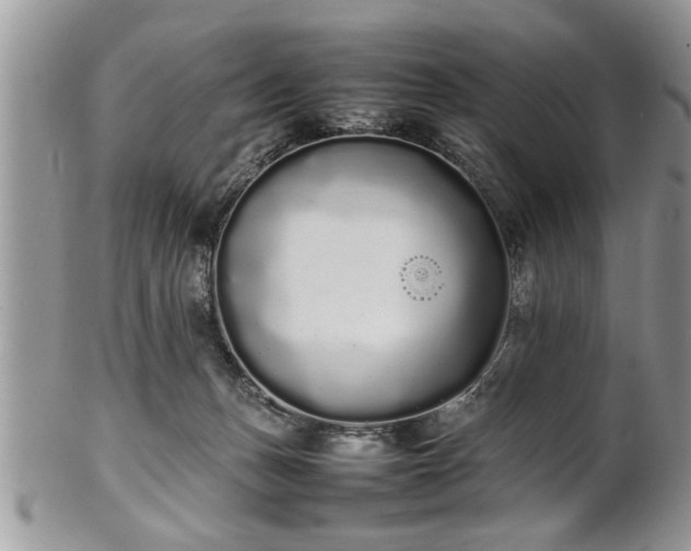 X0000102260175200808011413