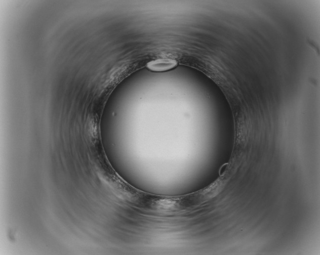 X0000102260176200808011413