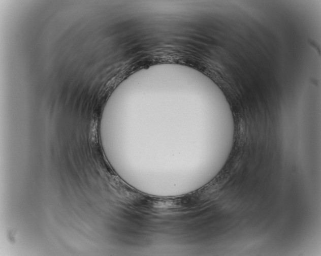 X0000102260177200808011413