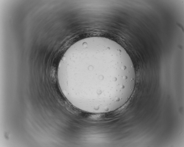 X0000102260178200808011413